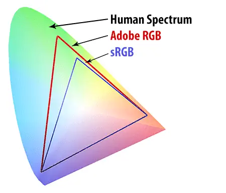 Человеческий спектр против sRGB против Adobe RGB