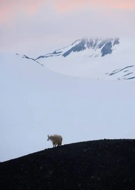 Вертикальное фото передышки