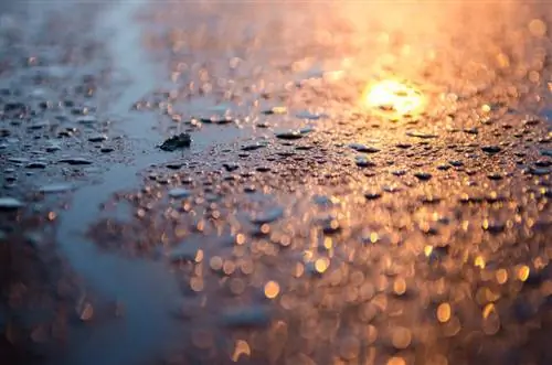 Капли воды на капоте синего автомобиля