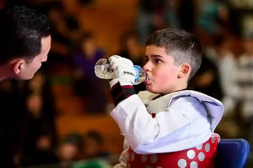 Тхэквондо (4)