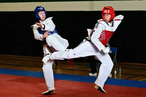 Тхэквондо (8)
