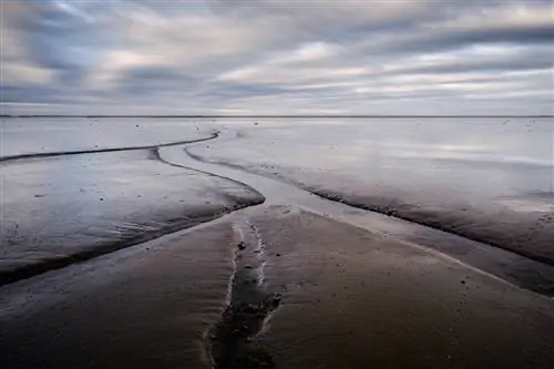 Почему выровнять горизонт непросто