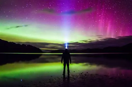 Остров Стюарт Новая Зеландия (13)