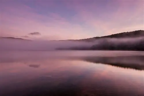 Остров Стюарт Новая Зеландия (14)