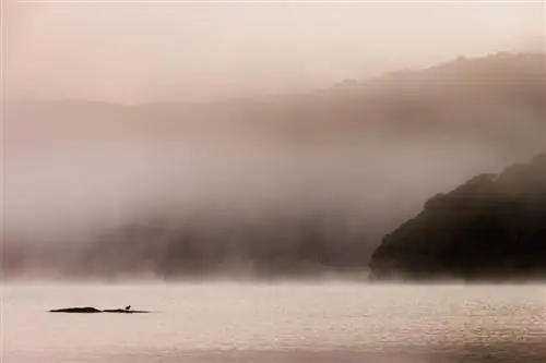 Остров Стюарт Новая Зеландия (16)