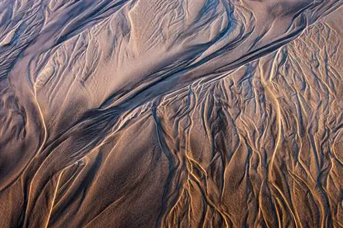 Остров Стюарт Новая Зеландия (6)