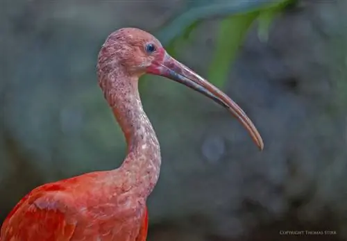 рука держит 7