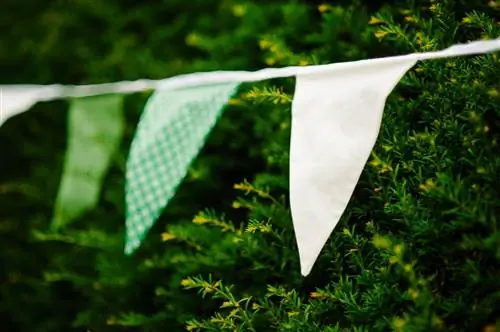 Фотосъемка деталей свадьбы (11)