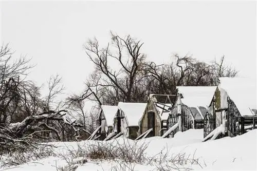 Объективы Nikon серии E (1)