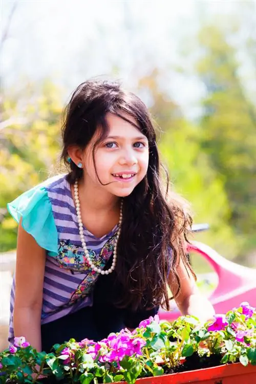 Объективы серии Nikon E (12)