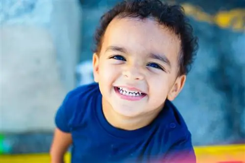 Объективы серии Nikon E (13)