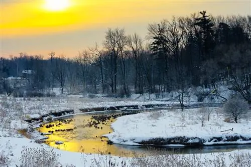 Объективы Nikon серии E (4)