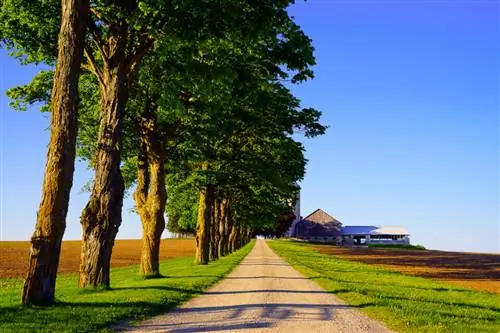 Объективы серии Nikon E (9)