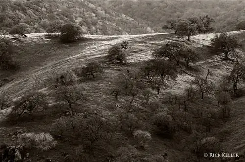 69400023 - 1200 - Копия