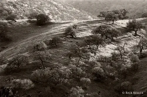 69400026 - 1200 - Копия