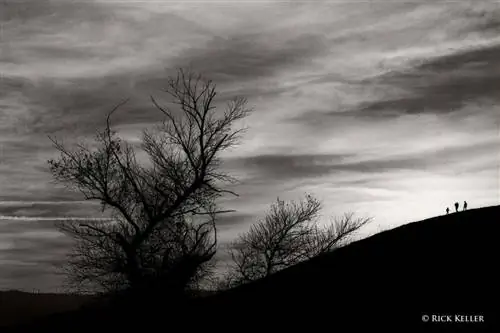 86600015 - 1500 - 2 - Копия