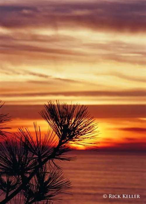 25810007 - 1200 - Копия