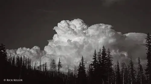 4279_07 - 1500 - Копия