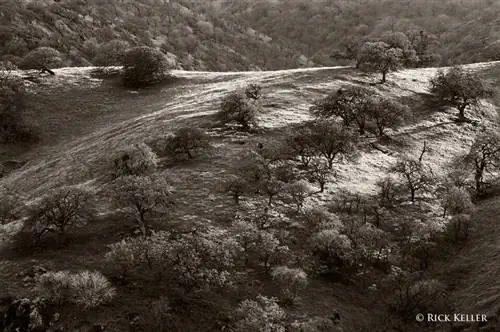 69400022 - 1200 - Копия