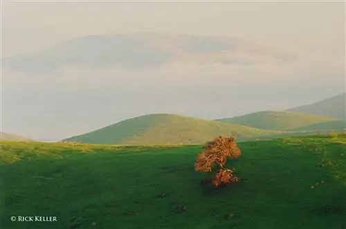 Исследование света, направленности и настроения