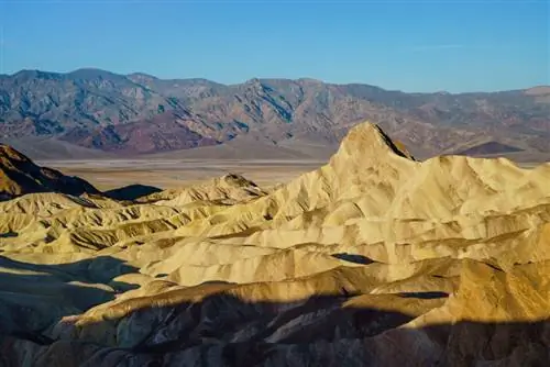 Пример изображения Zeiss Loxia 50mm f2 (2)