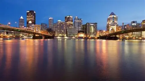 Питтсбург (14)