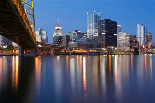 Питтсбург (20)