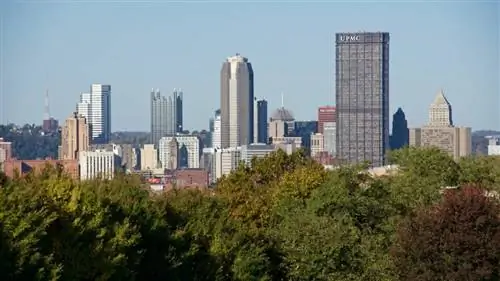 Питтсбург (7)