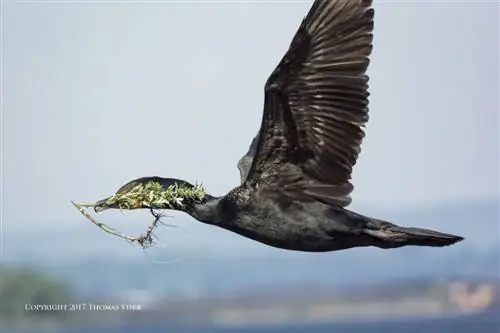 найти кадр огня 11