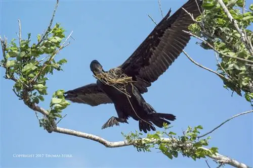 найти кадр огня 13