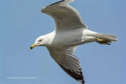 найти кадр огня 3