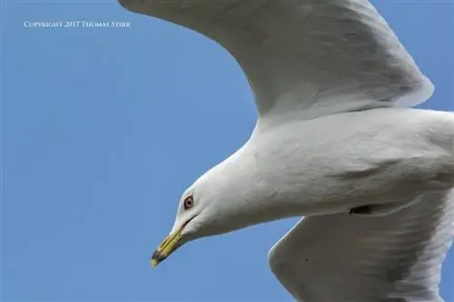 найти кадр огня 5