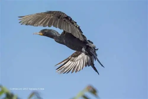 найти кадр огня 9