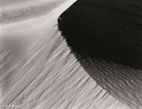 Икеда Анба 4х5, Никкор-М 300 мм f/9, Илфорд Дельта 100