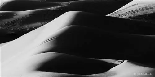 Nikon F6, Nikkor 70-200mm f/4 G ED VR, Adox CMS 20 II