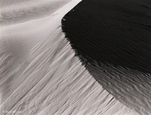 Исследование зрения, света и теней