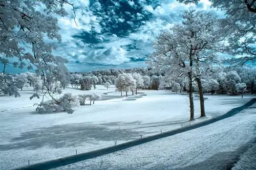 Серебряный EFEX Изменение яркости