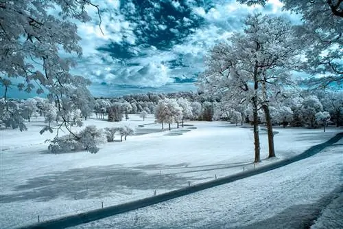 Topaz DeNoise и повышение резкости InFocus