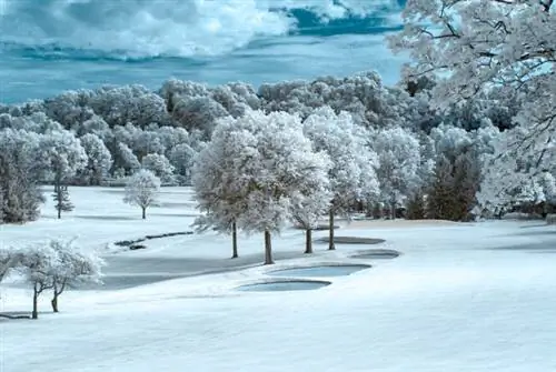 Обрезка по центру окончательного изображения