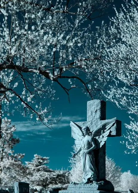 Инфракрасный ангел