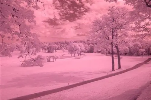 RAW-файл в Lightroom