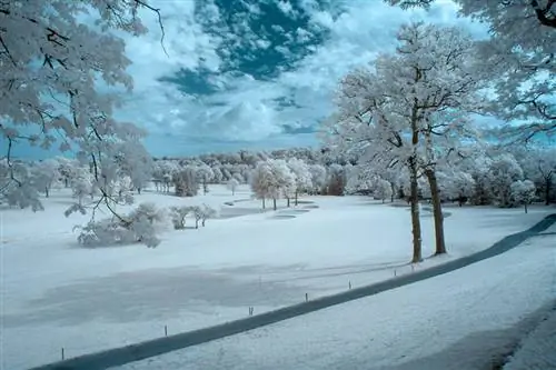 Настройка контрастности