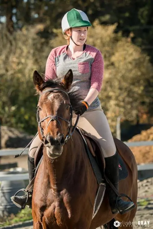 Лошадь и всадник