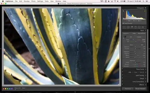 Изображение с отрегулированными только белыми оттенками