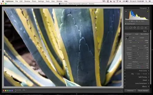 Изображение с настроенными экспозицией и уровнями белого/черного