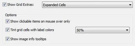 Параметры просмотра Lightroom. Диалог_Сетка_Вид_Раздел «Параметры»