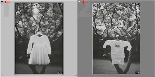 Флаги Adobe Photoshop Lightroom