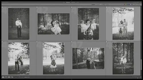 Adobe Lightroom 4 Выберите флаг