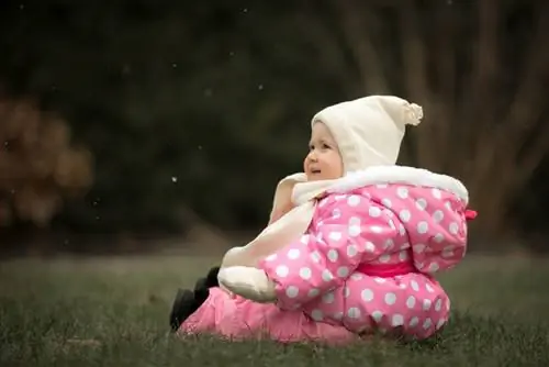 Первый снег