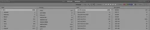 Фильтр и атрибут библиотеки Lightroom